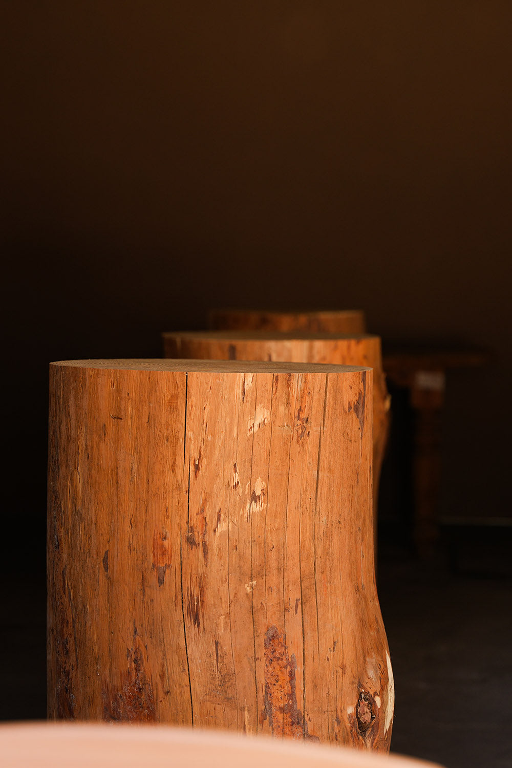 はつもみぢ｜角打ちHARADASAKABA