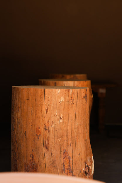 はつもみぢ｜角打ちHARADASAKABA