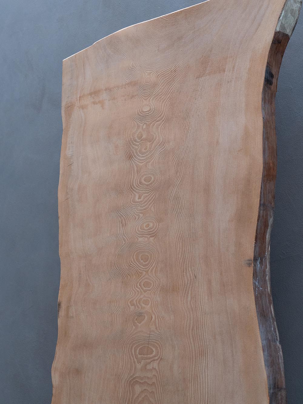 屋久栂（やくつが）