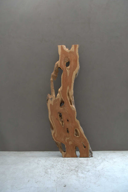 貝塚伊吹（カイズカイブキ）