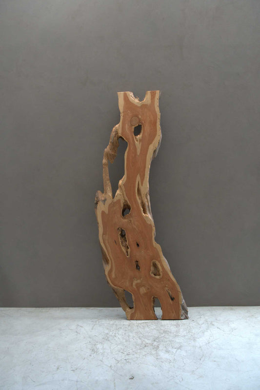 貝塚伊吹（カイズカイブキ）