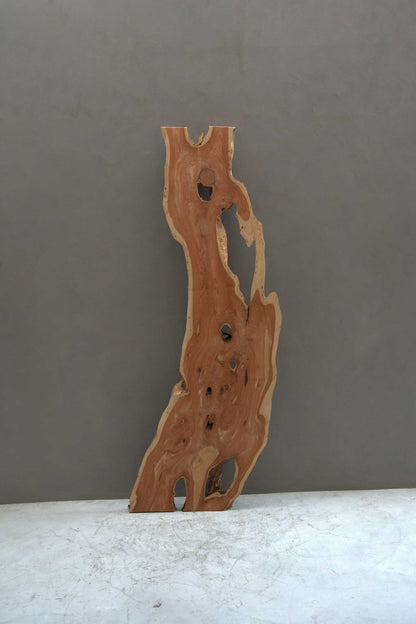 貝塚伊吹（カイズカイブキ）