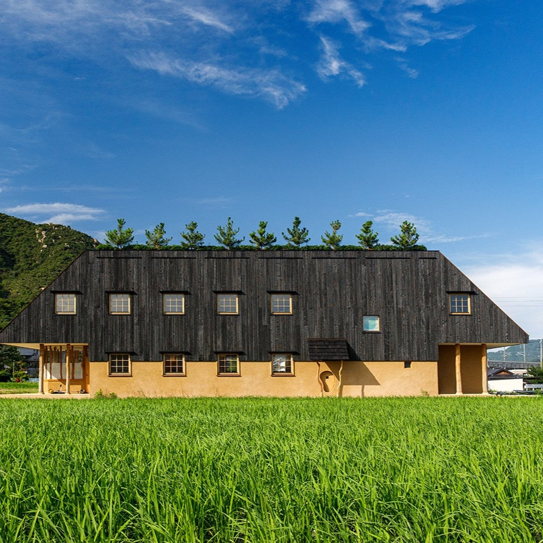 藤森照信＋佐田祐一／佐田祐一建築設計研究所 おおオフィス