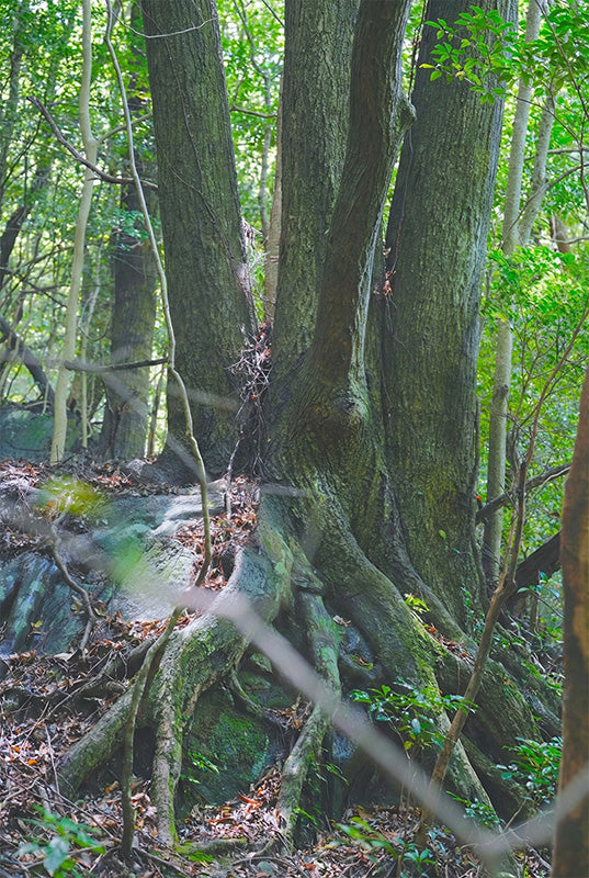 店舗・設計・建築業者様へ
